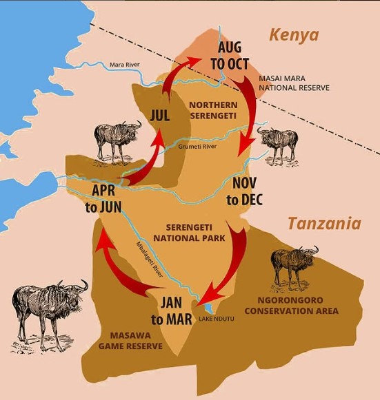 14 Day Luxury Safari - Great Migration